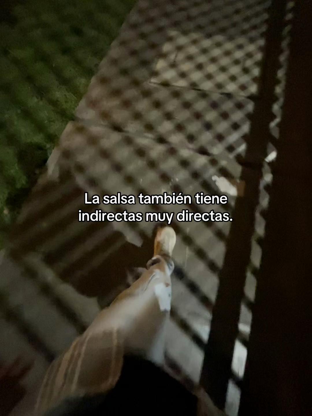 @Nefi_ja