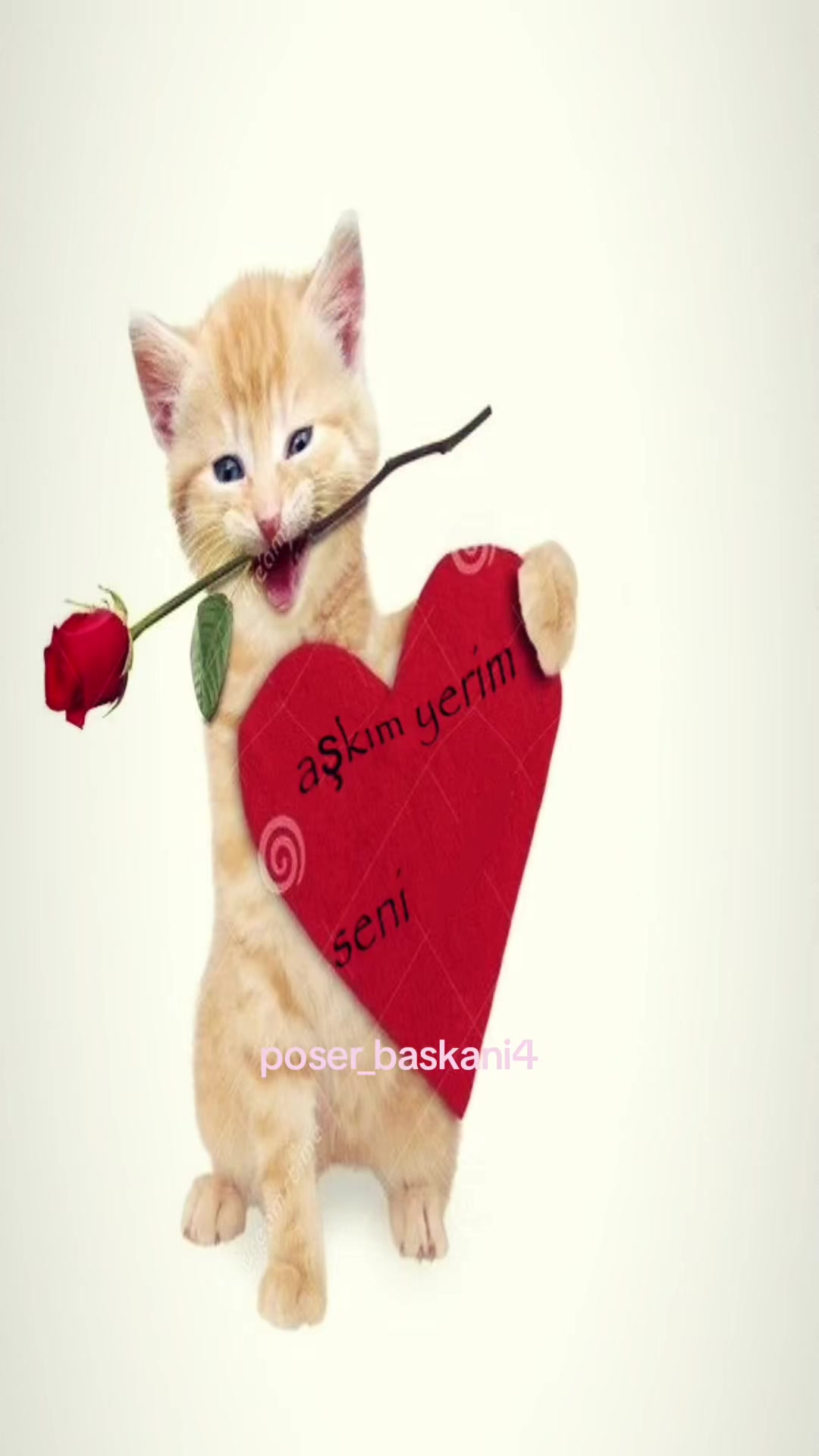 @poser_baskani4