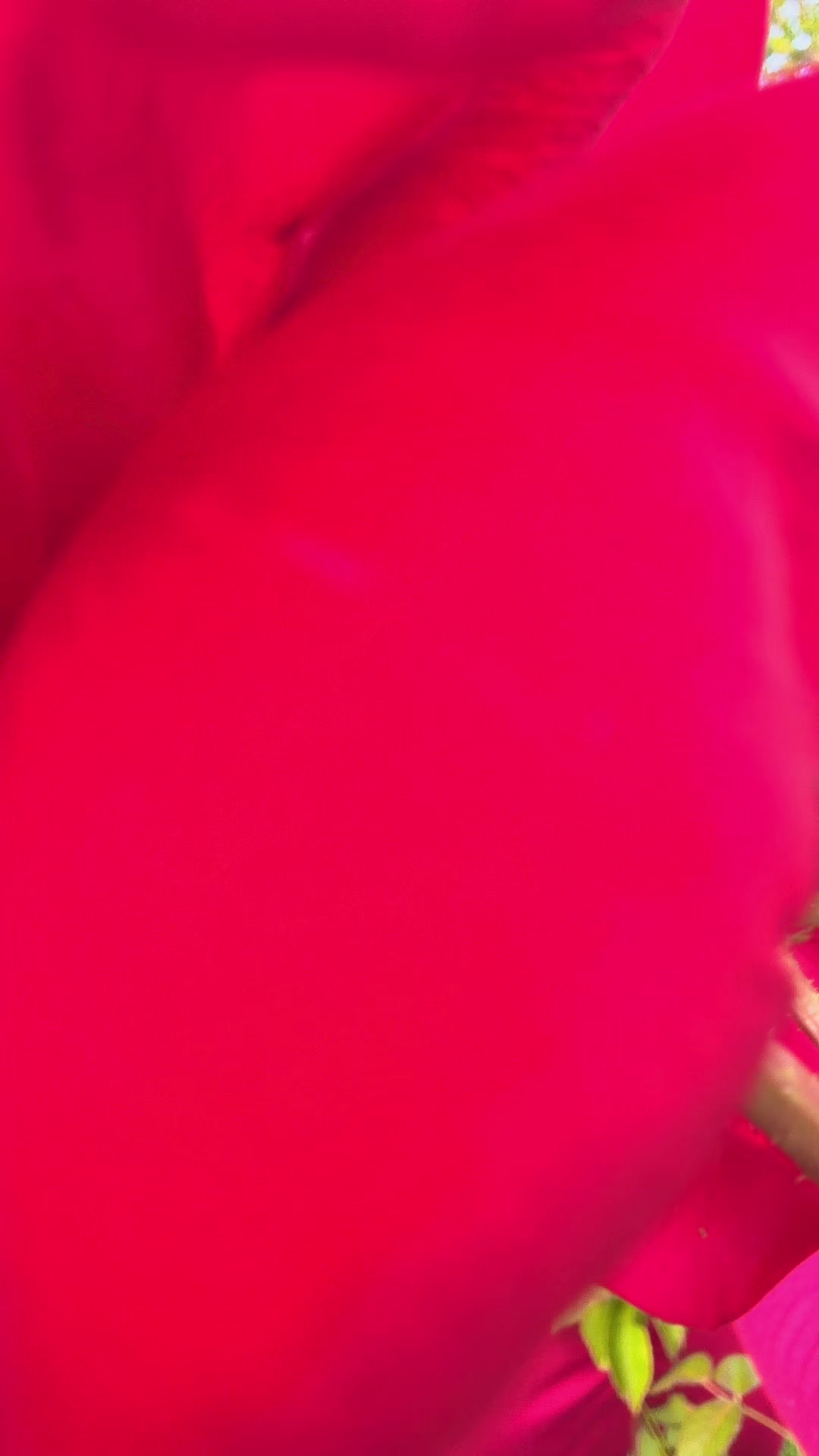 @deep 777