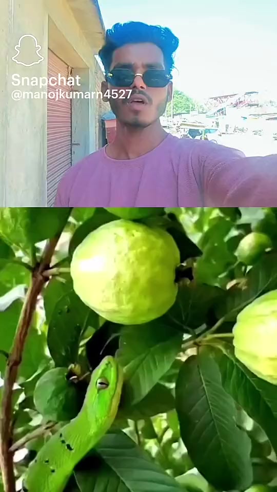 @√|j楙®© Bhai