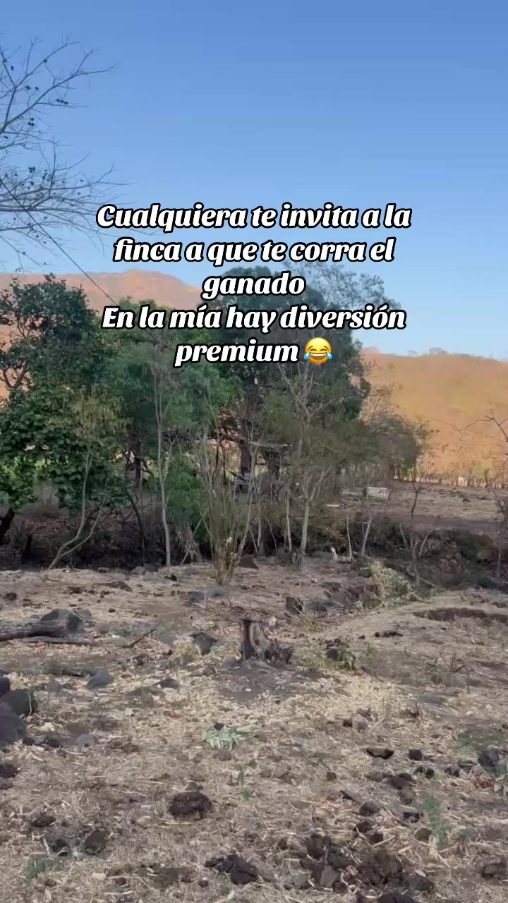 @𝑀𝒾𝓂𝒾𝓈