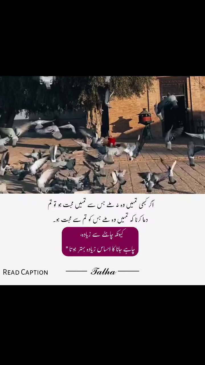 @𝐓𝐀𝐋𝐇𝐀 • 𝑾𝒓𝒊𝒕𝒆𝒔