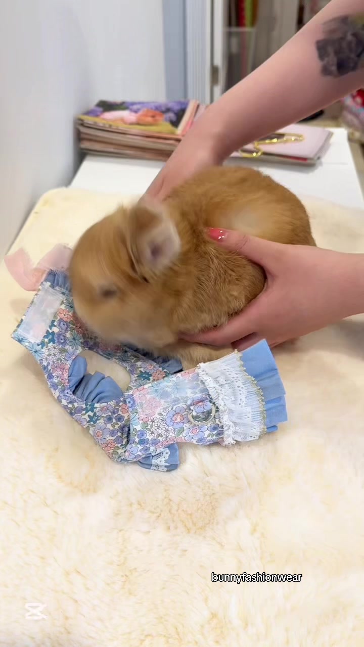 @Eggie