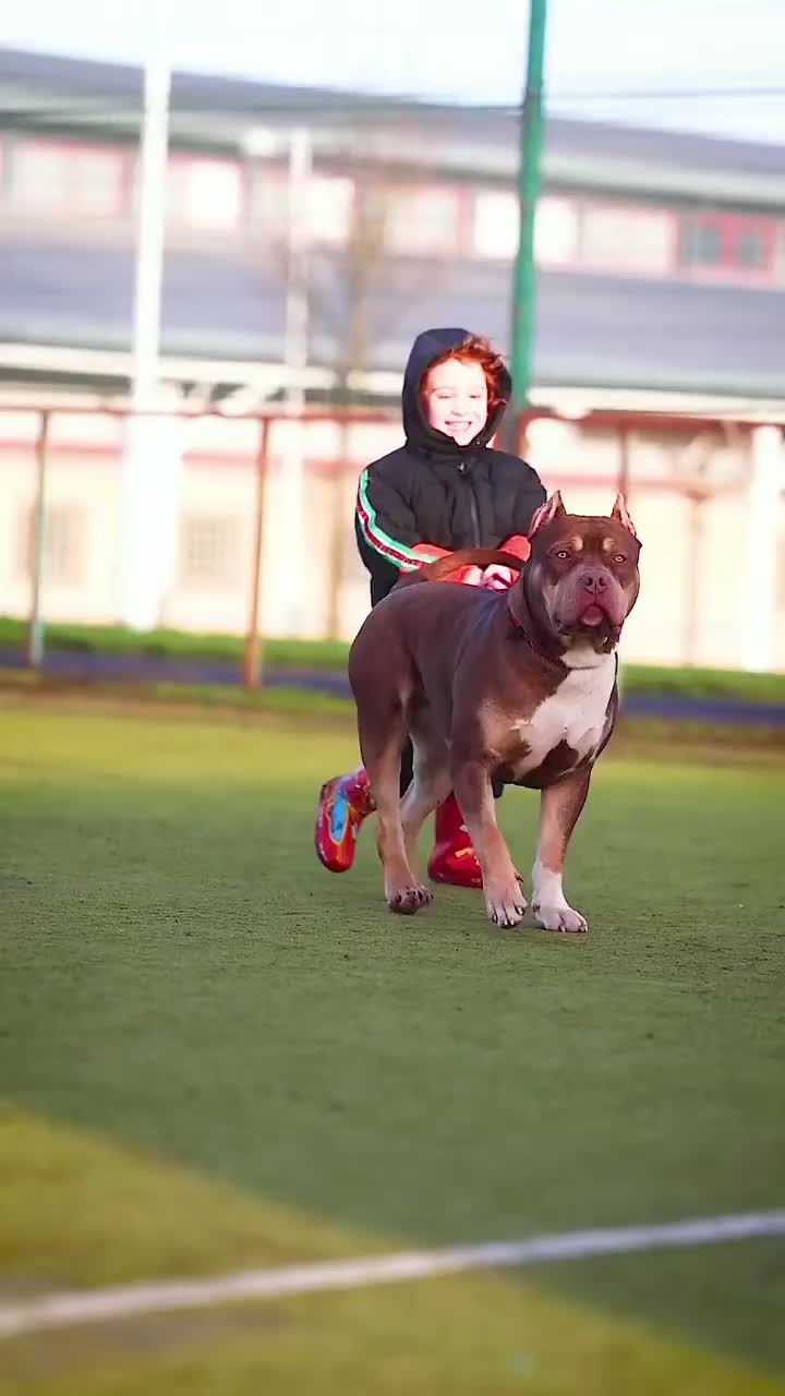 @Anonymouschienworld