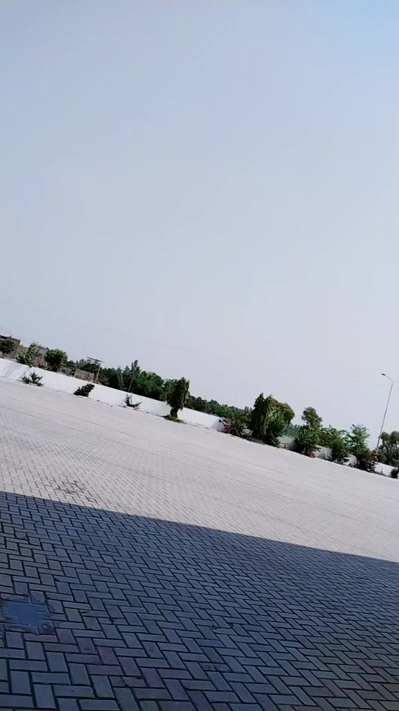 @CH M TARIQ MEO
