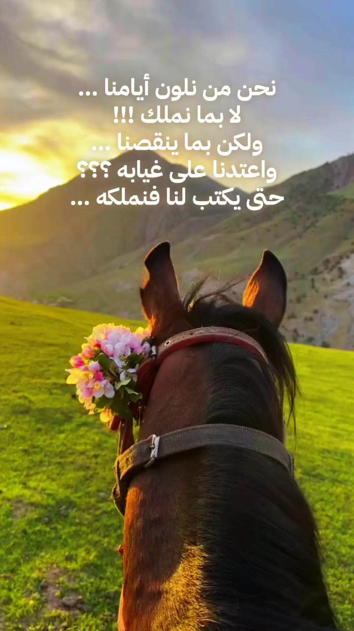 @نهى القطان