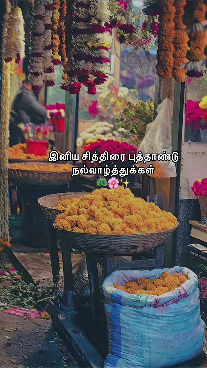 @๐ฅ๐ช๐ผ๐ช๐ท๐ฝ๐ฑ๐ช ๏ฃฟ ๐ฆ