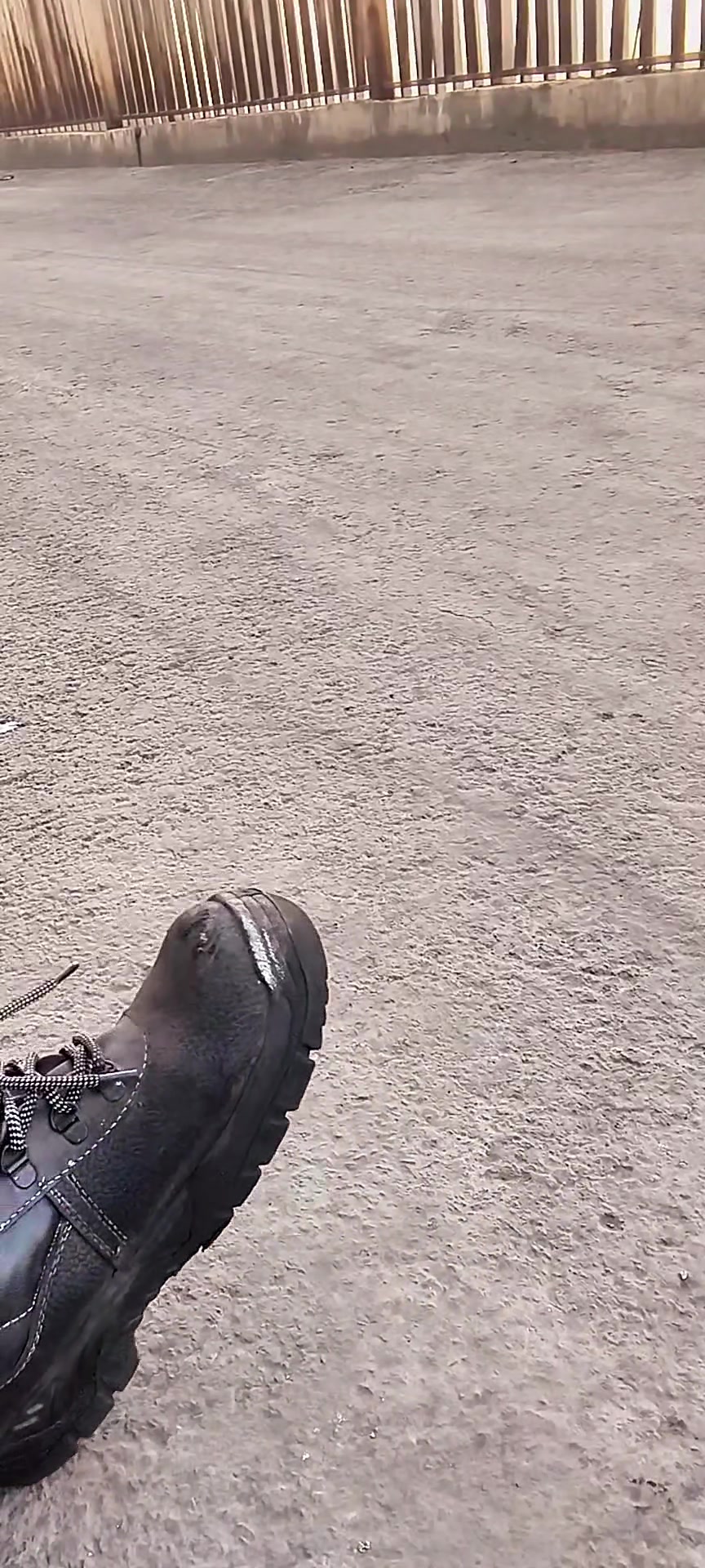 @Ankit Raja,01