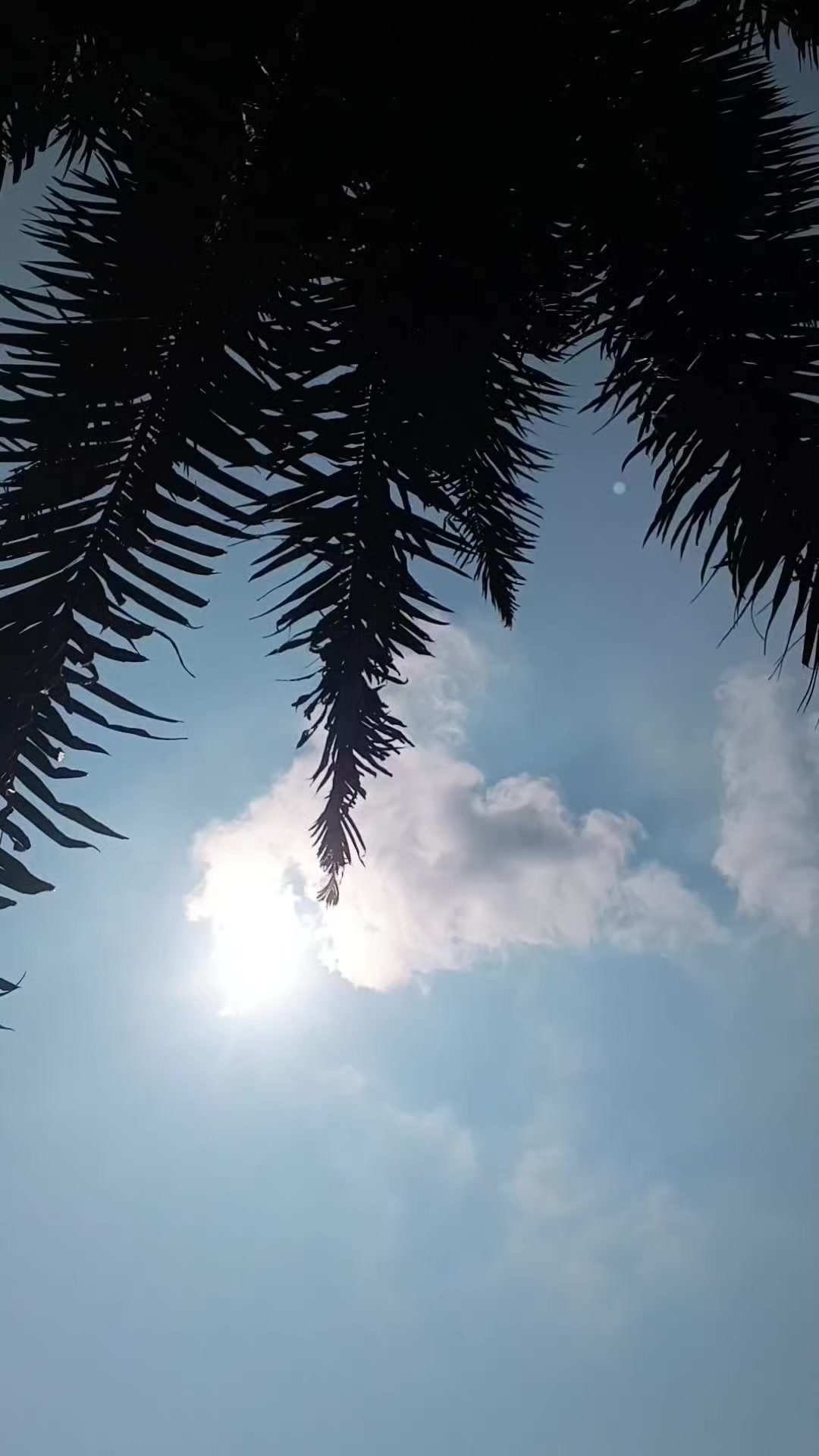 @susmawaati