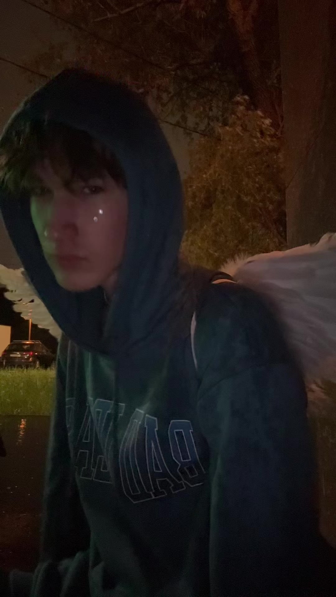 @catgoth
