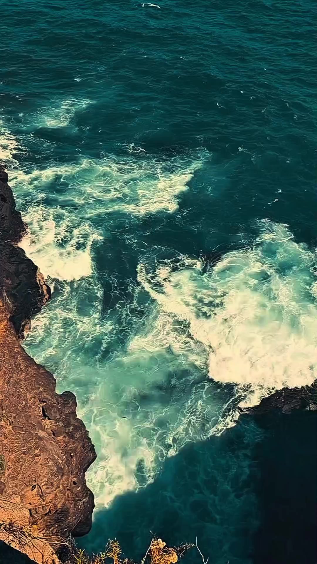@𝒹