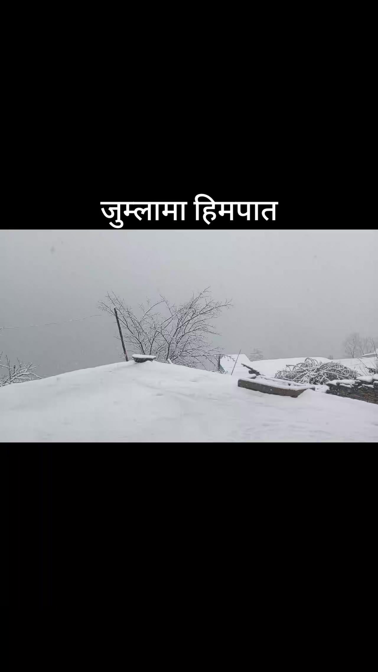 @dhanshree723