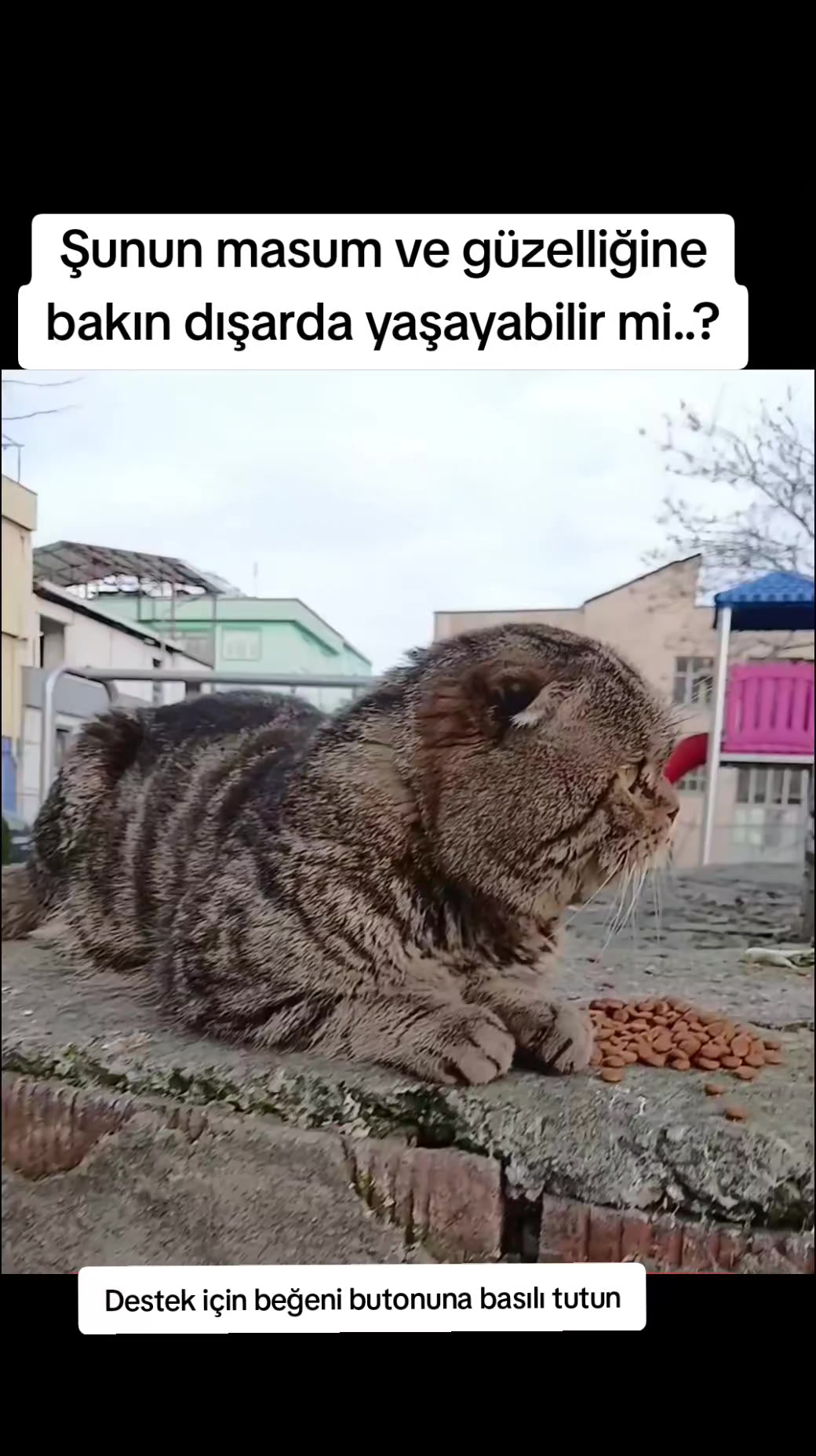 @MUSTAFA38
