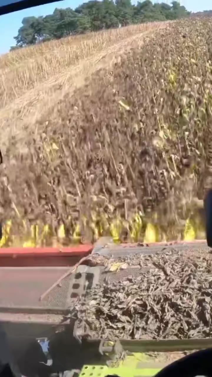 @🇺🇦🌾Agriculture🌾🇺🇦