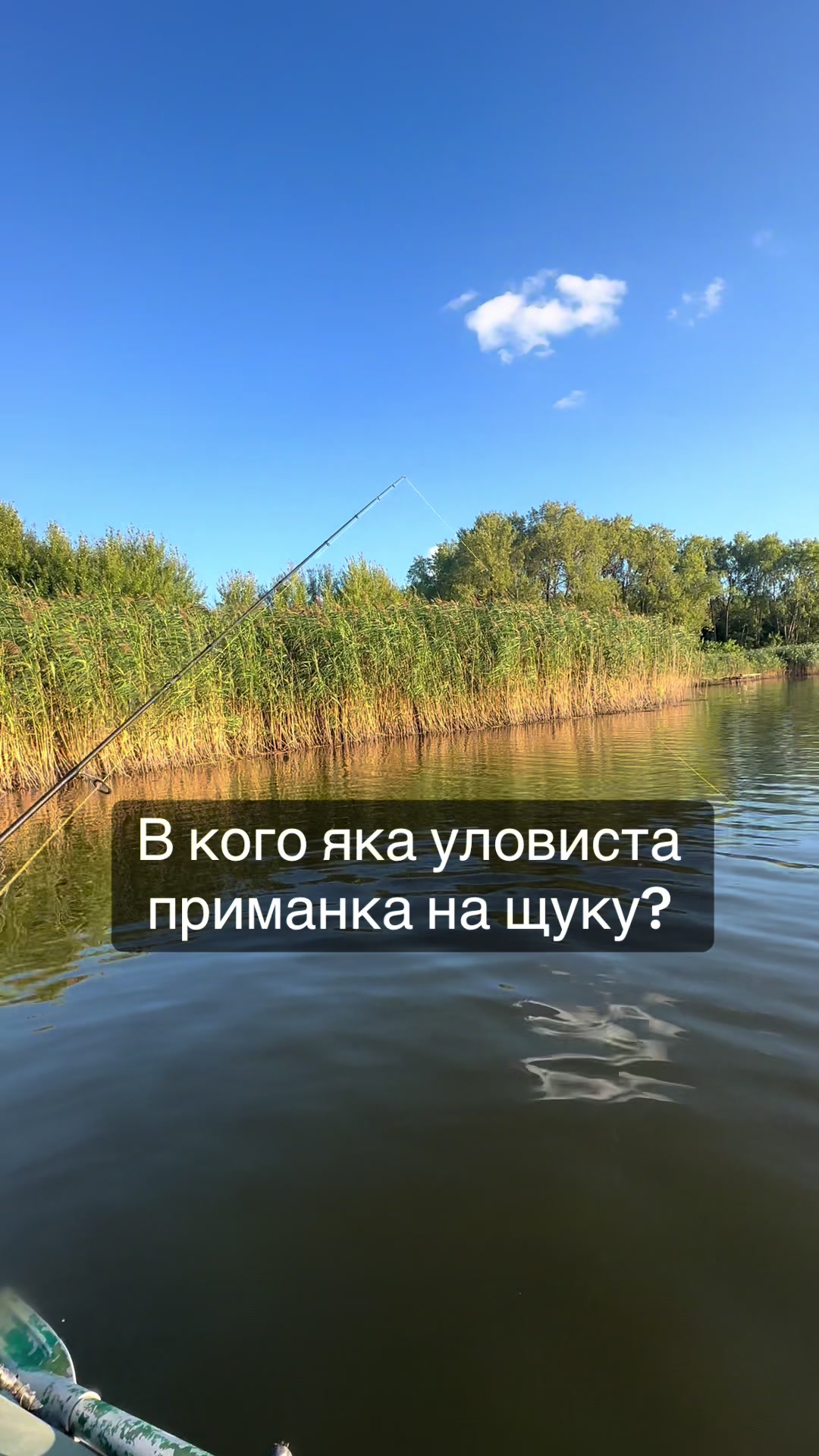 @РИБАЦЬКА МАНІЯ
