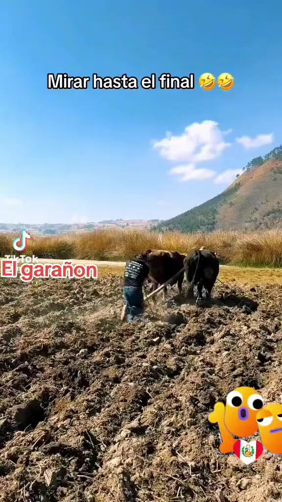 @🐂💘El Garañón💜de piedra💯pre