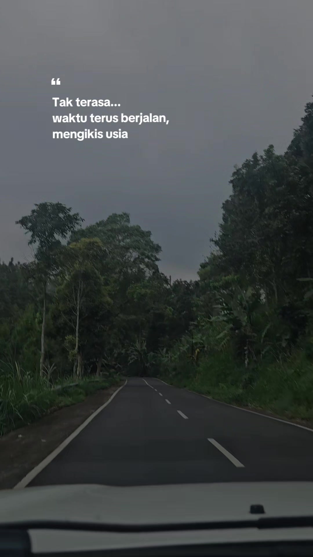 @Sang Elang_LSP