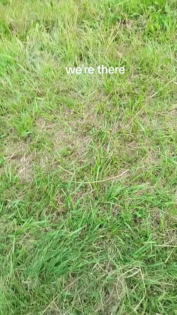 @wiseass