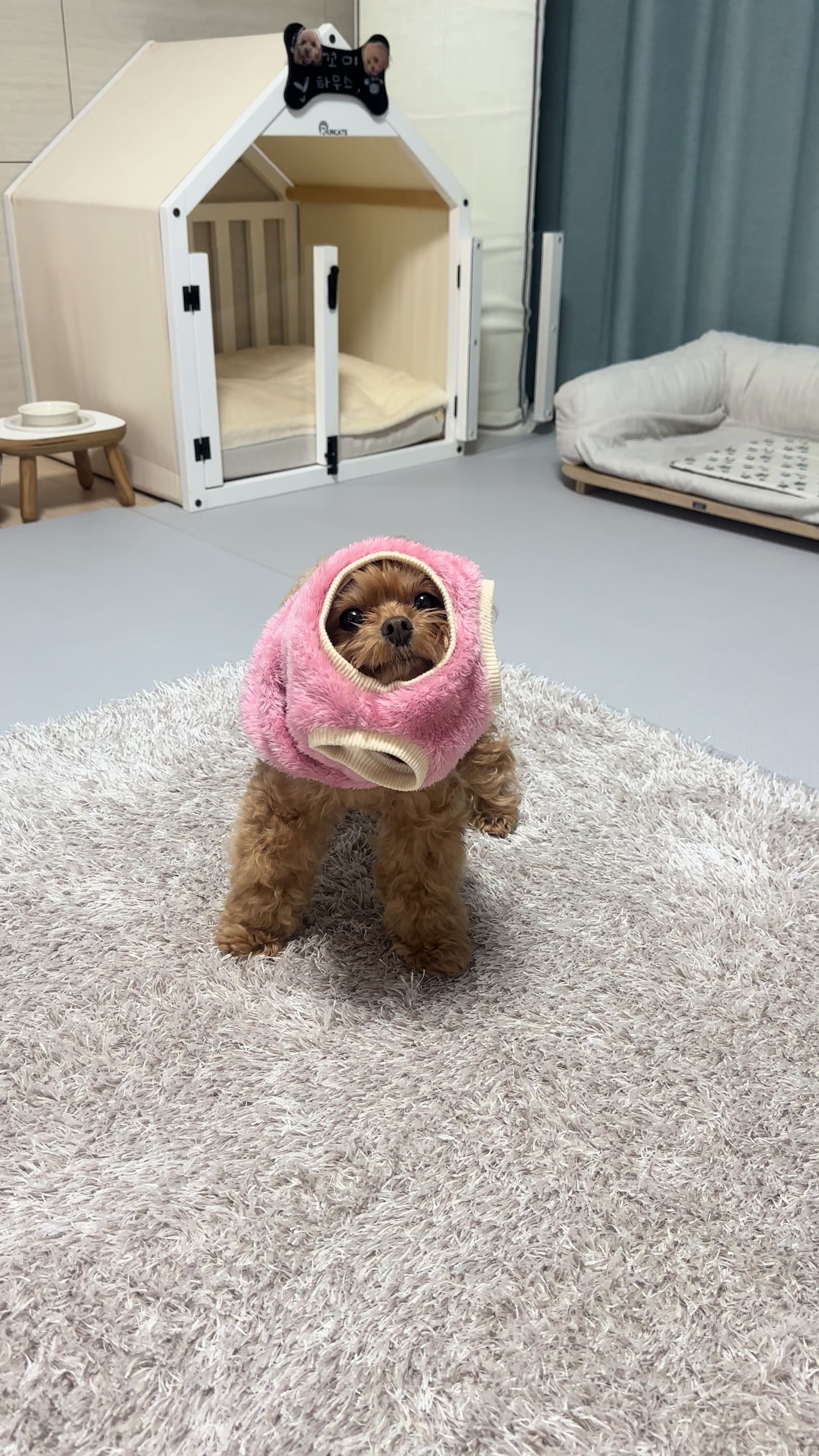 @꼬미
