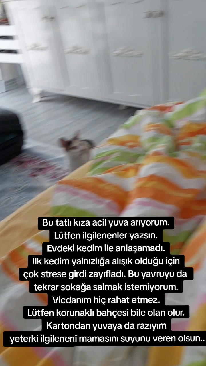 @GülsheN