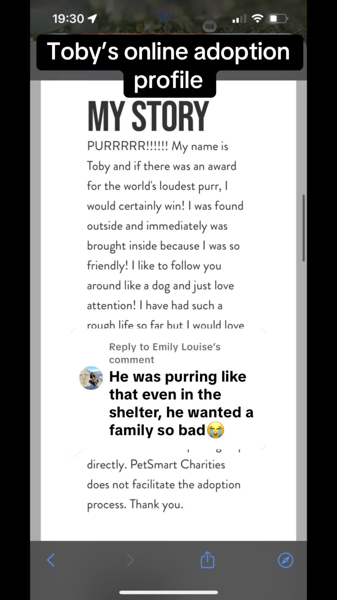 @Toby Purrrs