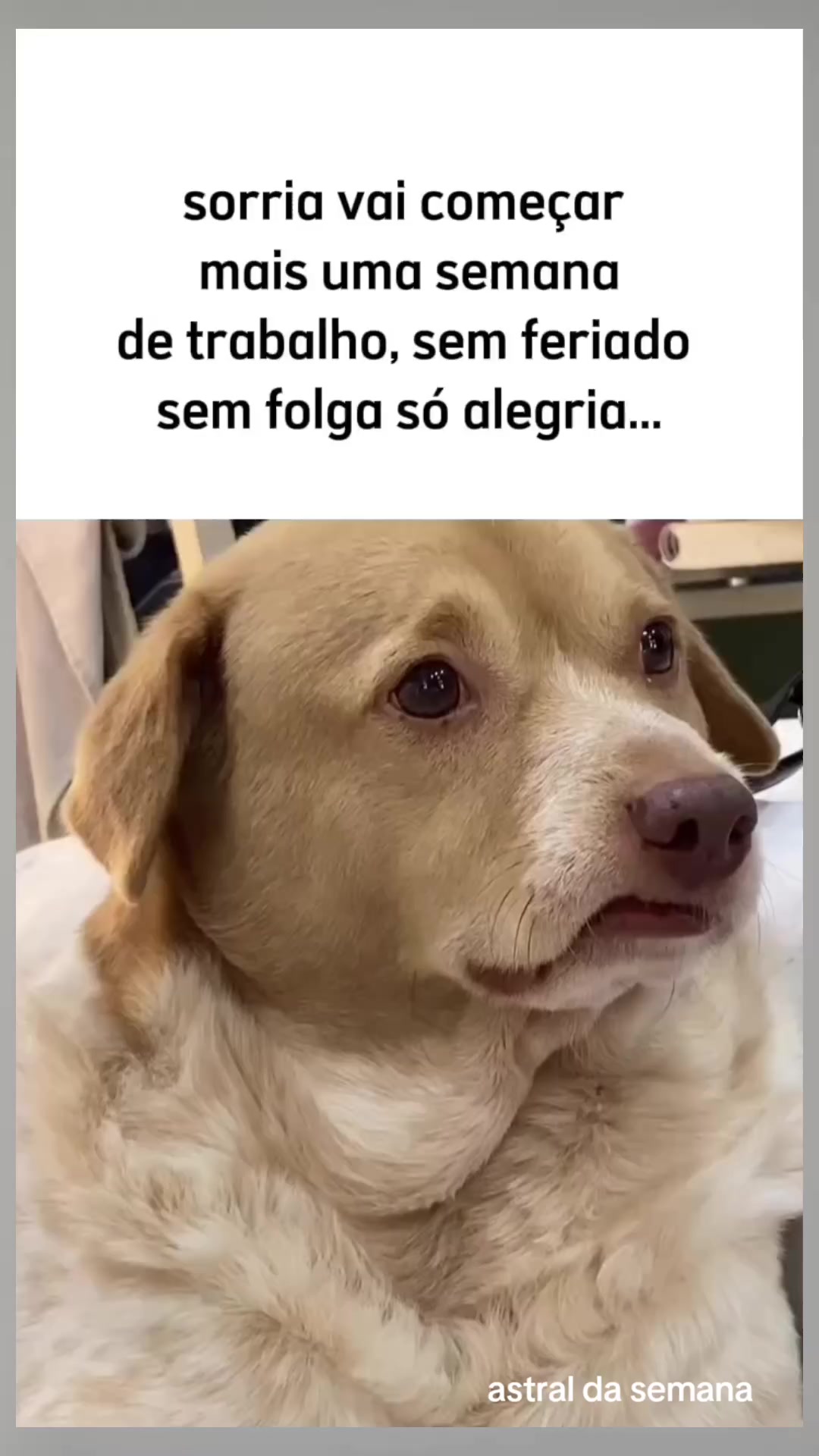 @Astral