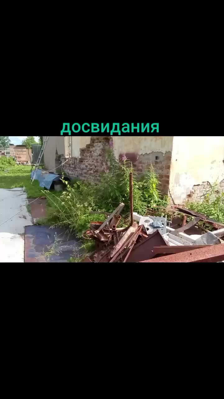 @кабан кузя