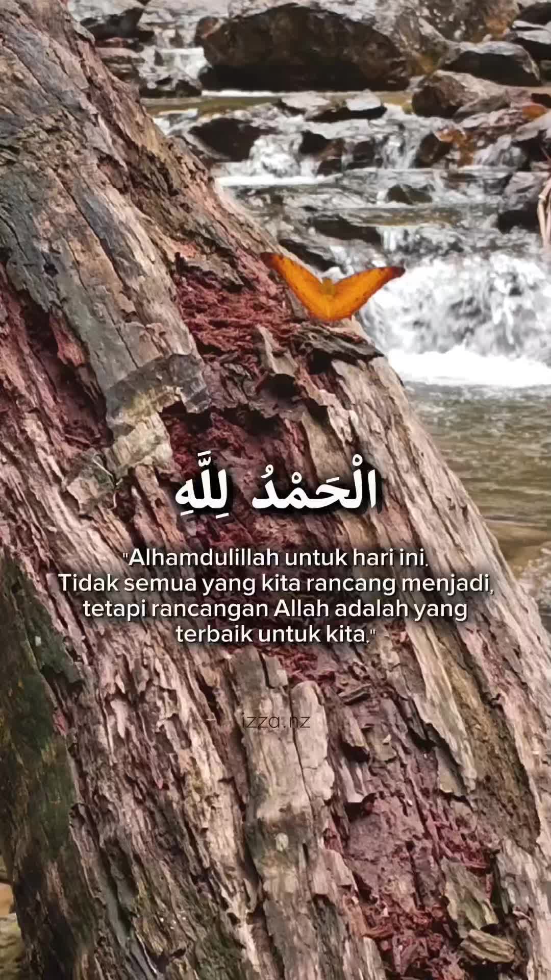 @izza.nz