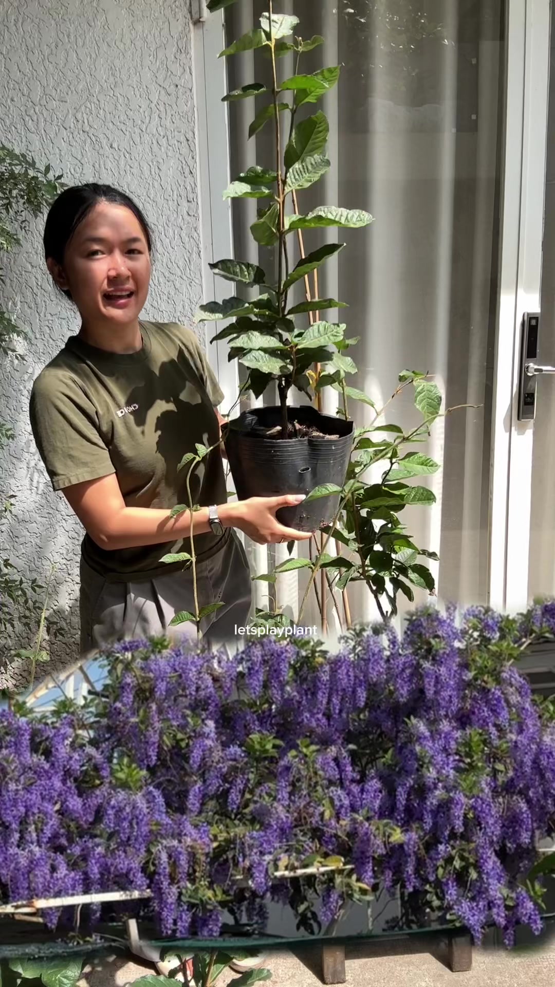 @Tú Nhi - Let's play plant