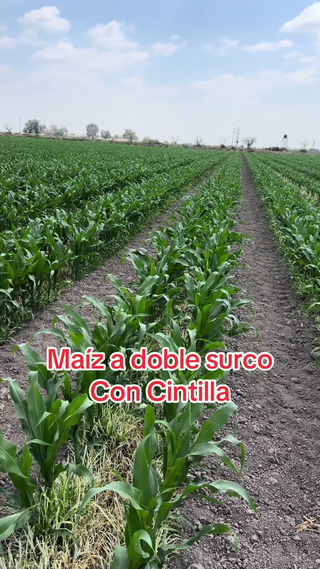 @Pablo Villarreal