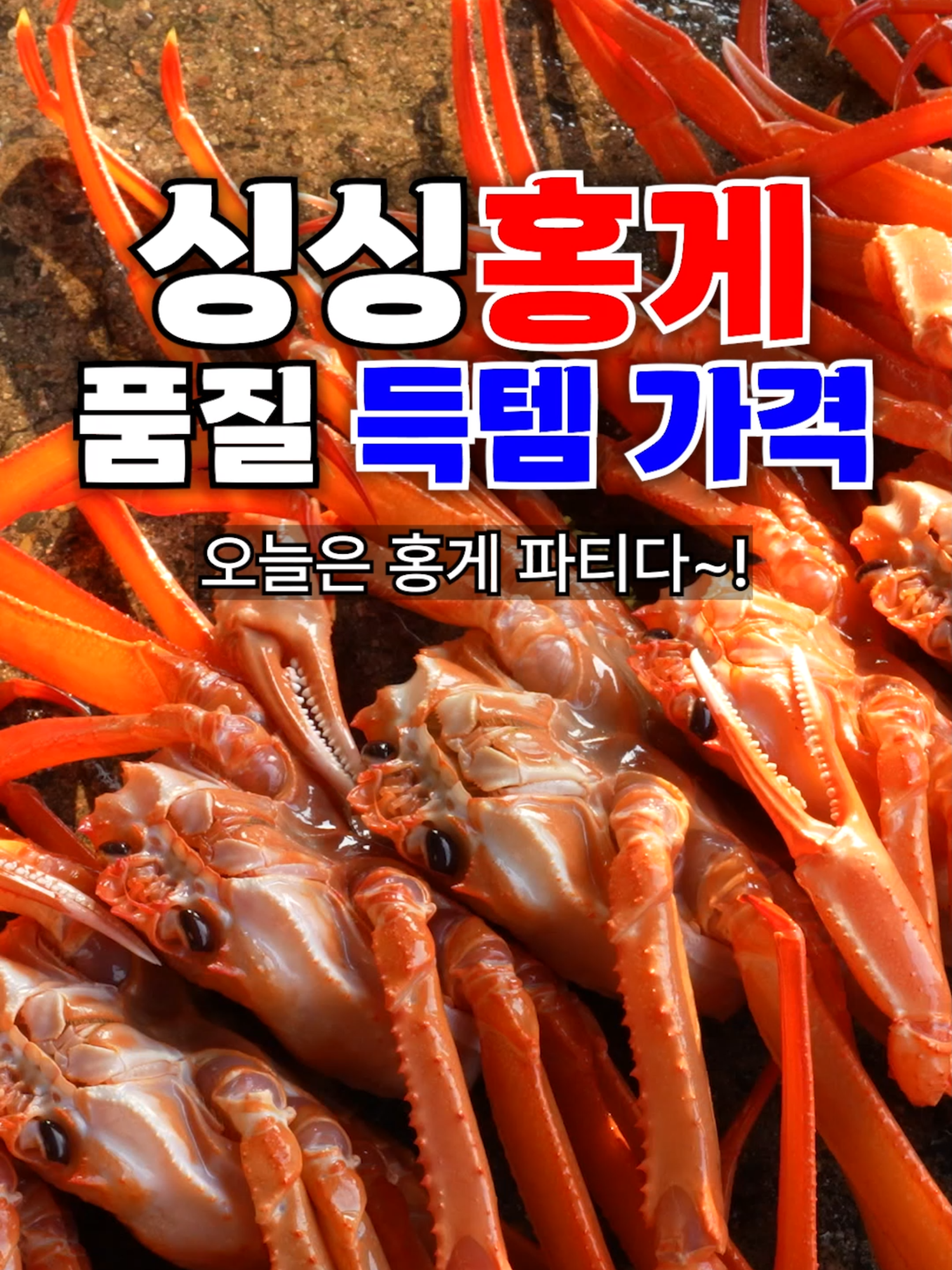 @싱싱헌터스