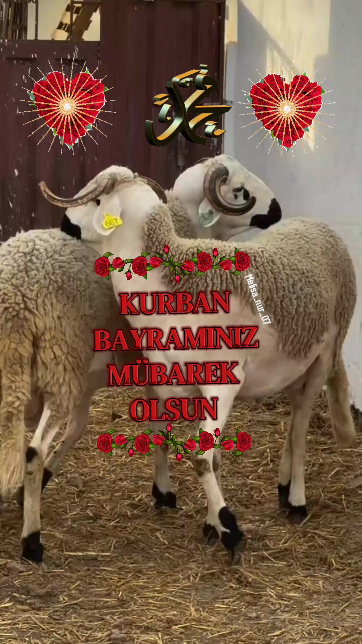 @♡★᭄ꦿ᭄ EZ   ᭄ꦿ᭄:♡MELİSA★᭄ꦿ᭄ ♡