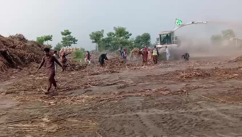 @چوہدری ایگرو سروس