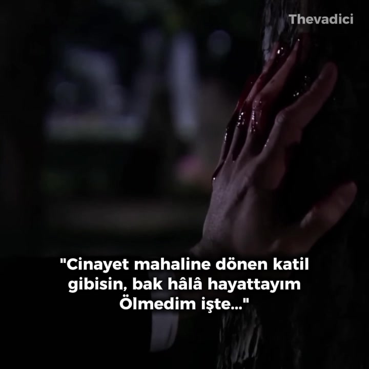 @ɴᴜʀ ᴀʟᴇᴍᴅᴀʀ