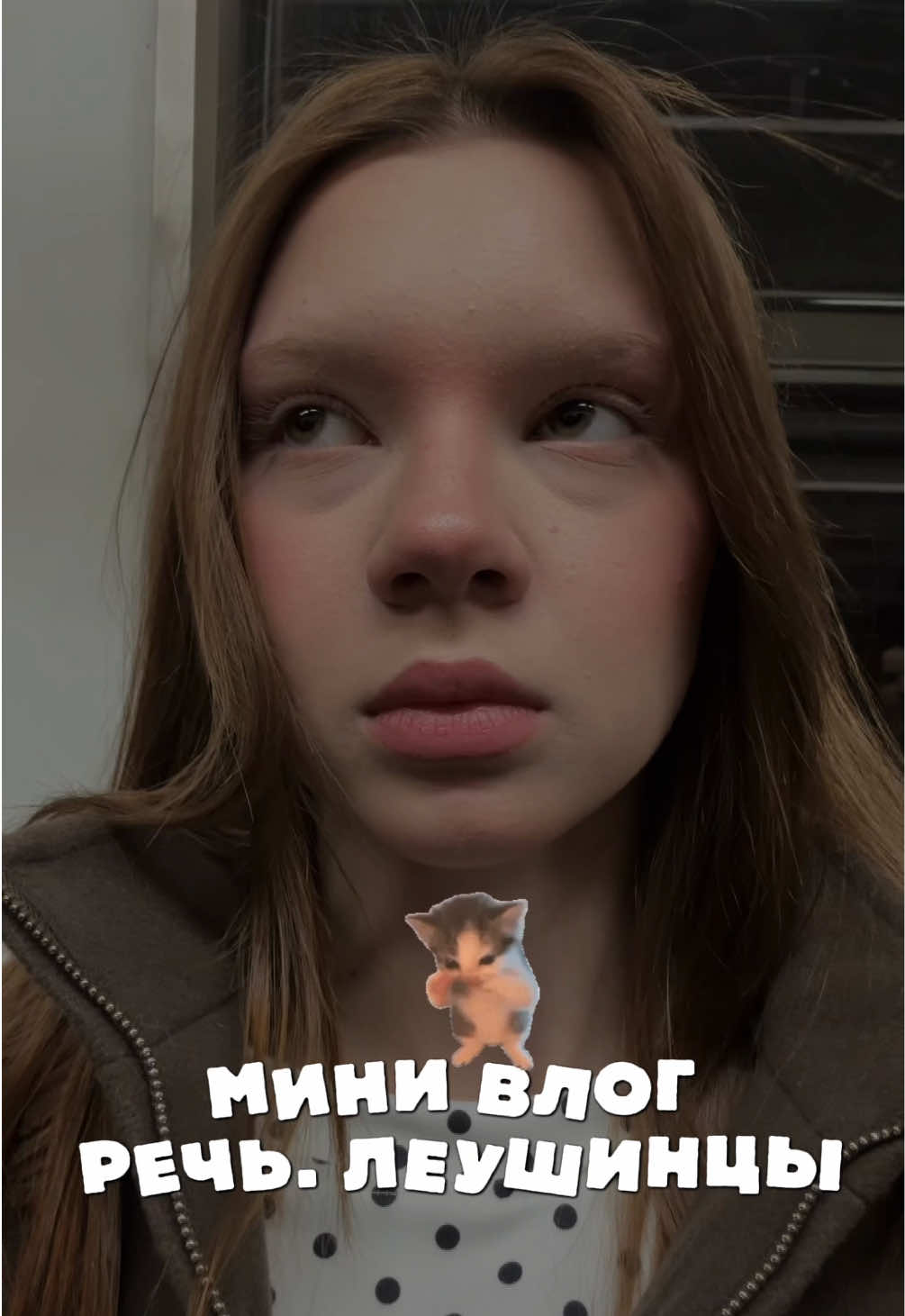 @shorodda