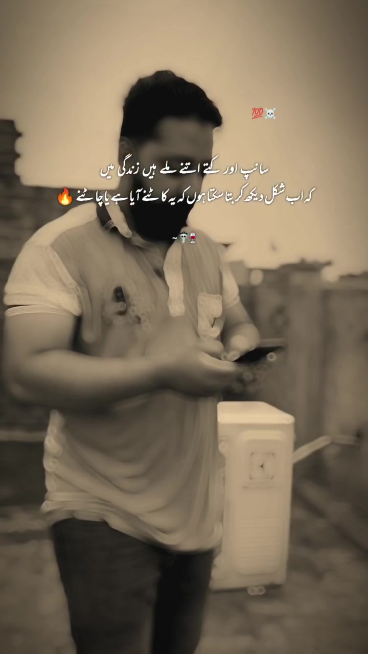 @ارحم راجپوت 👑