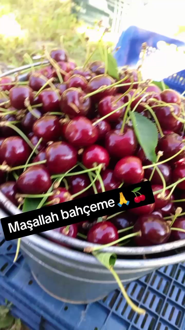 @İlkay baran
