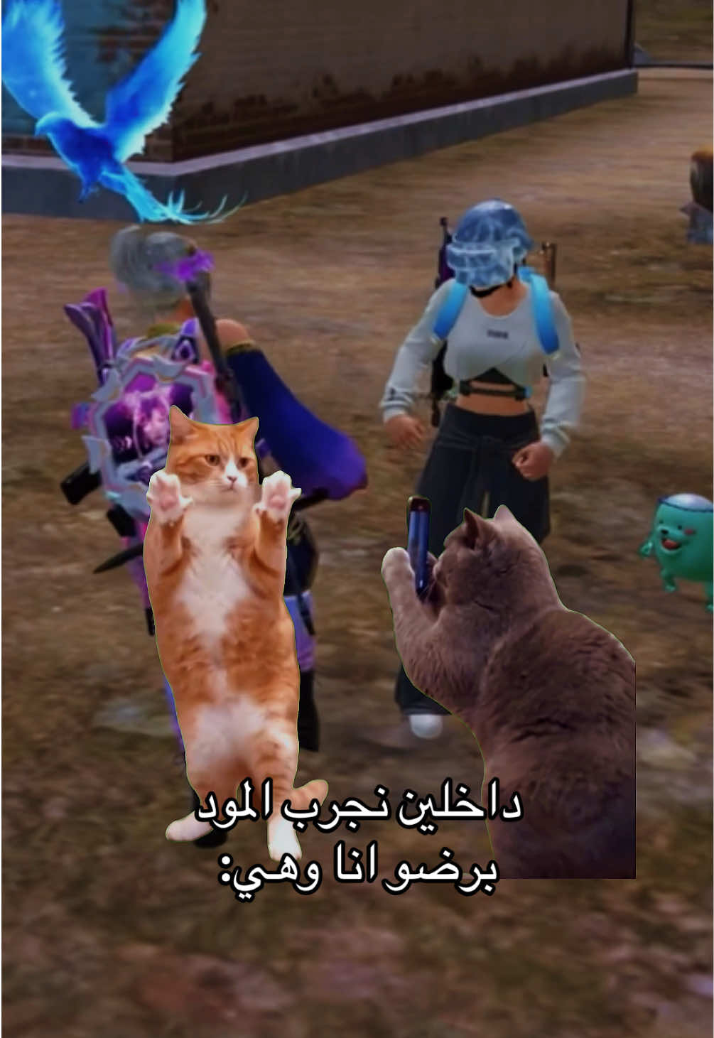 @نــونــي