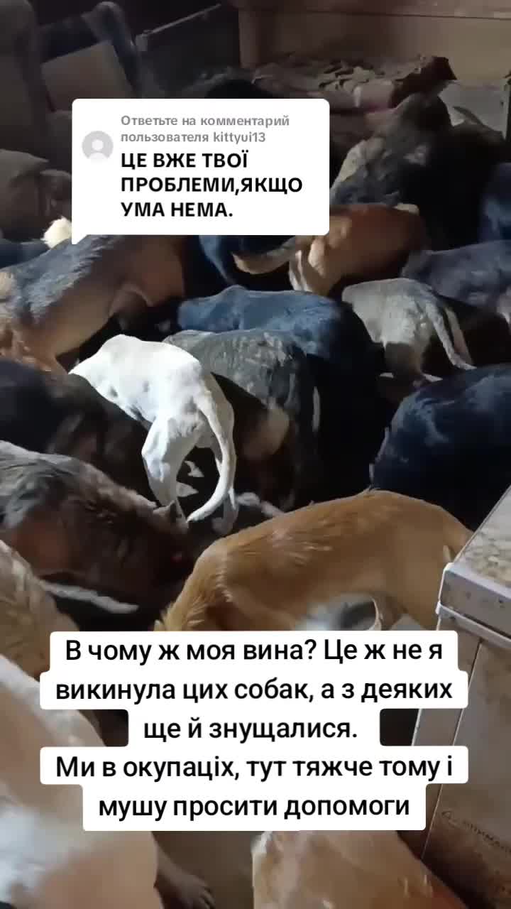 @tvarinkidobra