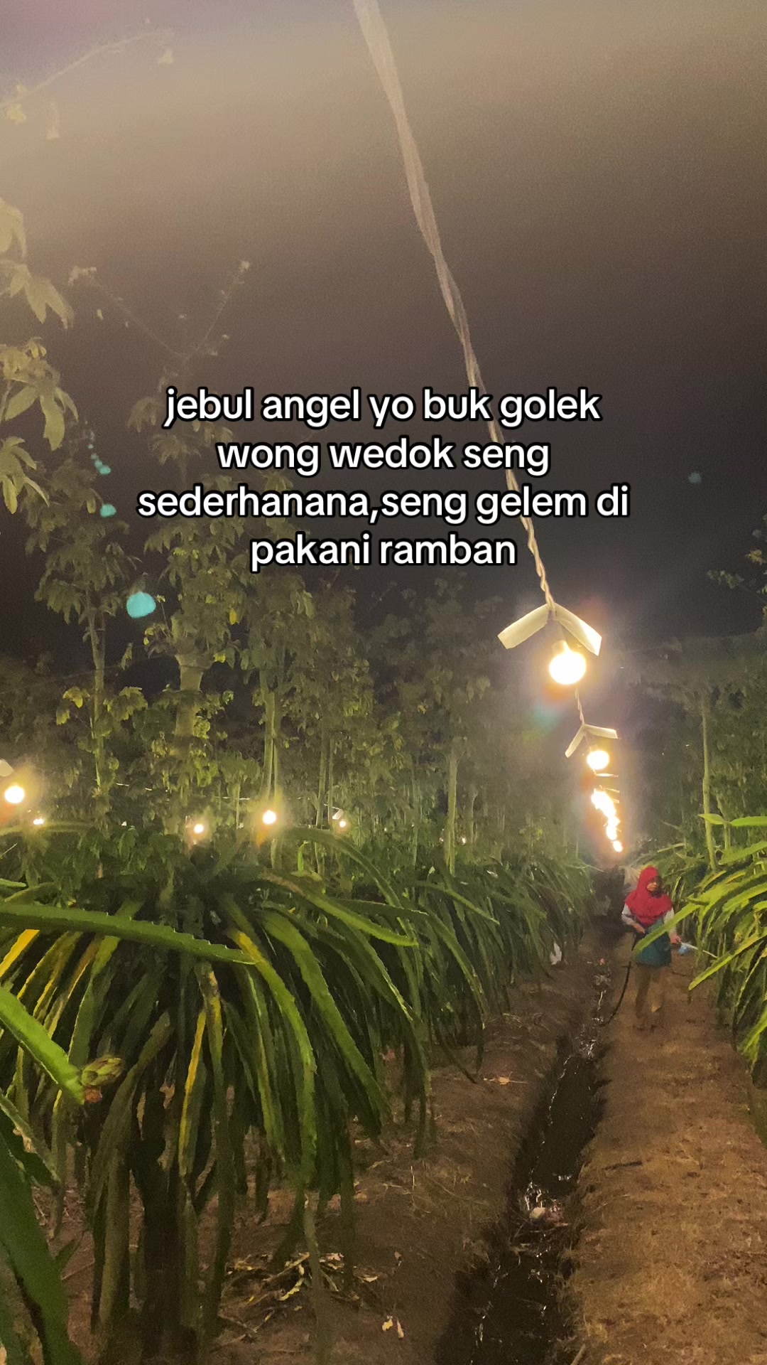 @erfn