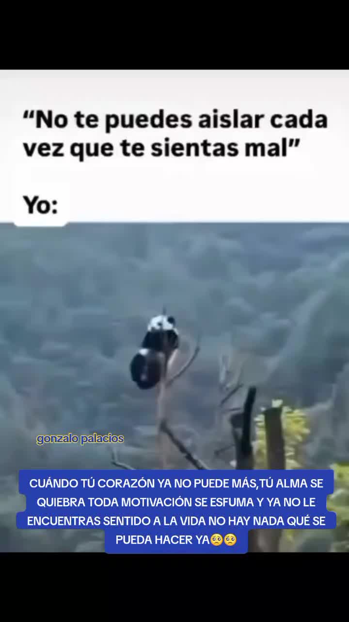 @Gonzalo