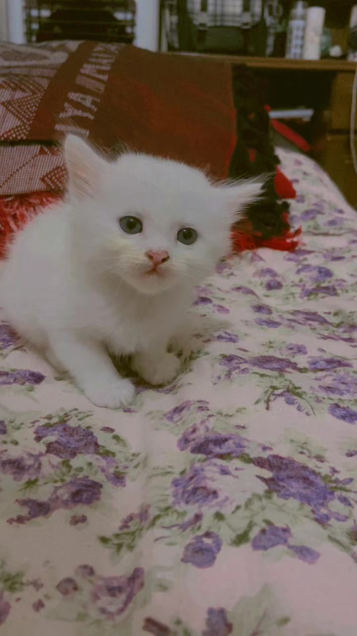 @🥰moni🥰