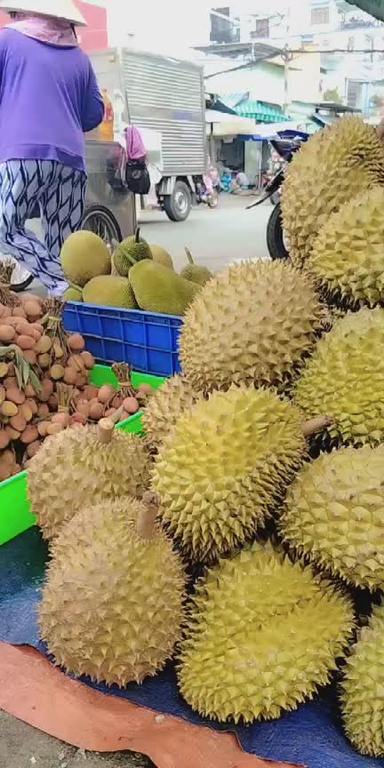 @L&ecirc; Ti&ecirc;n 63
