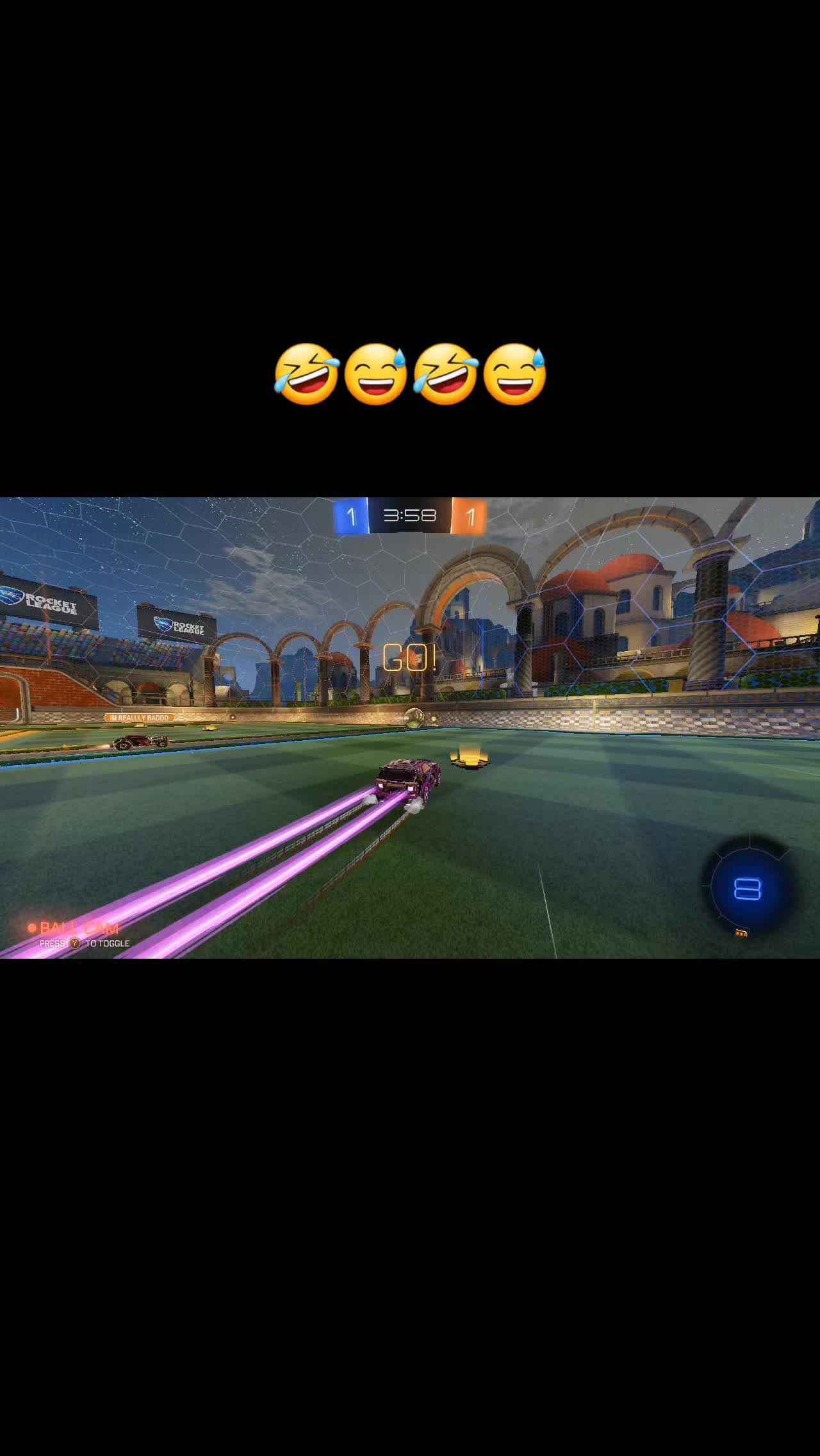 @That1BearGuy - RL