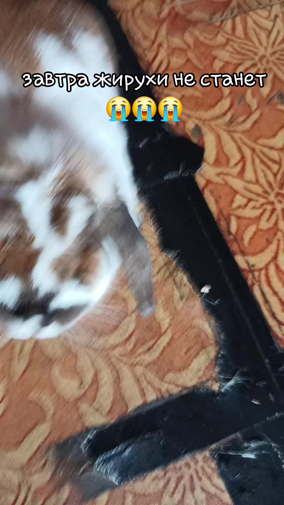 @Пощёчину дать?