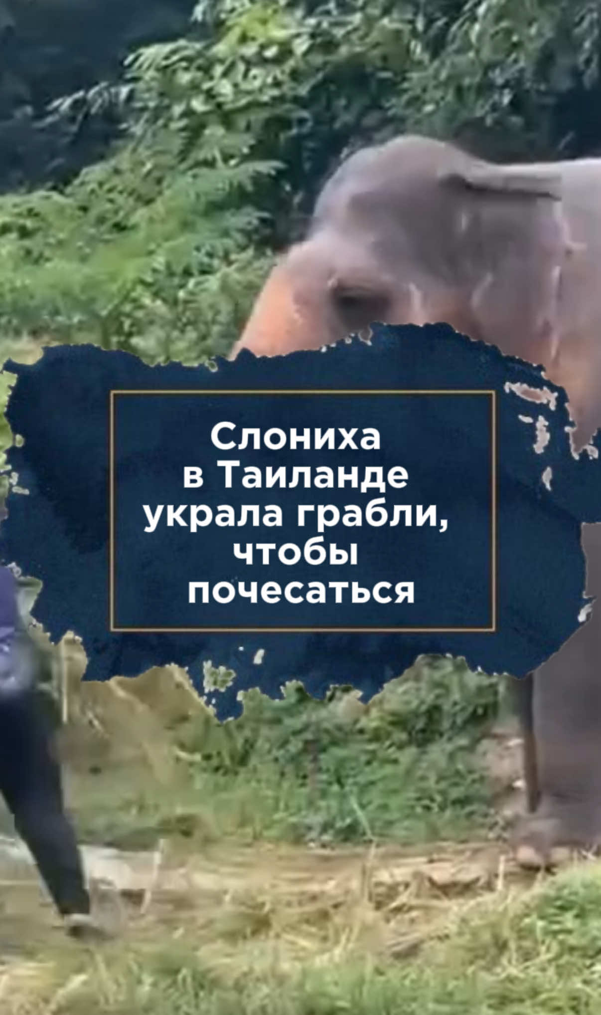 @zakon.kz ➡️ Новости Казахстана