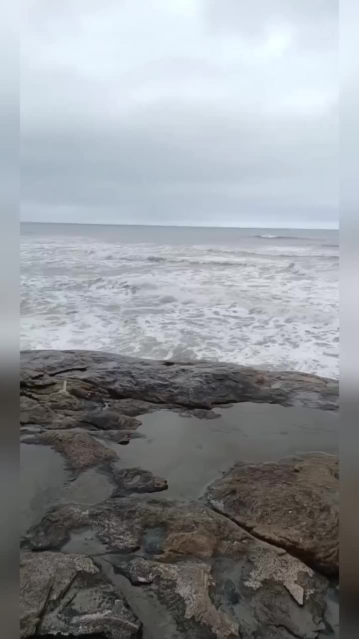 @🦁@ Tá sabendo Itanhaém? 🦁