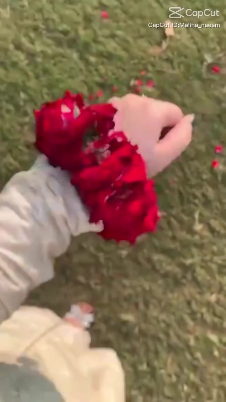 @user8906987330494