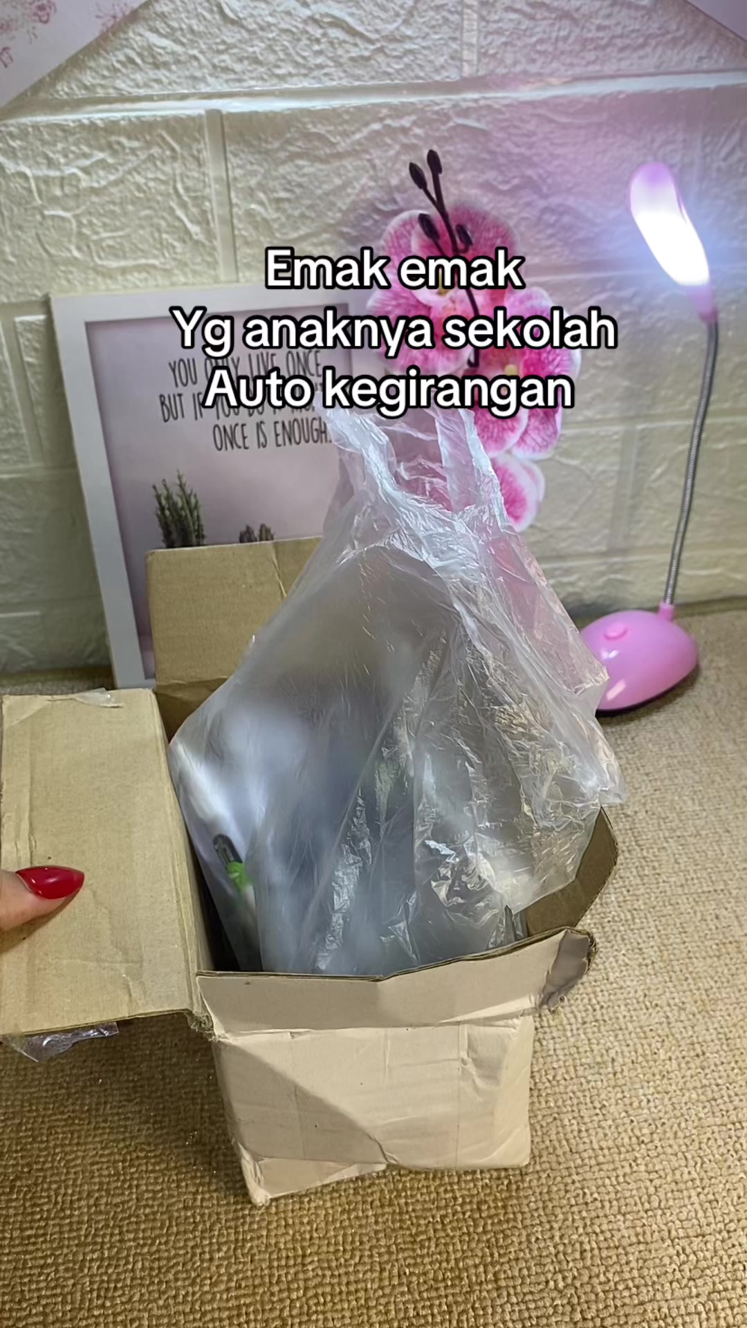 @โงโ๐๐โ๐๐๐๐๐ค๐๐คโ.ห๐ฆโ