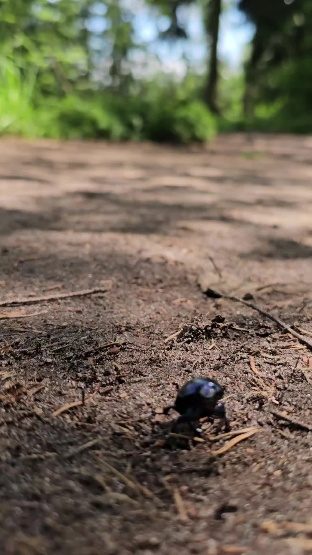 @K E R S T I N 🥾🌤⛰️🍀💯😘💃